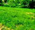Снимка 3 — Парцел във Варна, с. Аспарухово