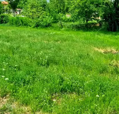 Photo 3 — Plot in Oblast Varna, Asparuhovo