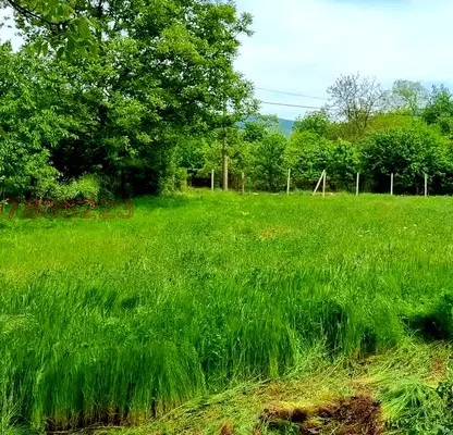 Photo 4 — Plot in Oblast Varna, Asparuhovo