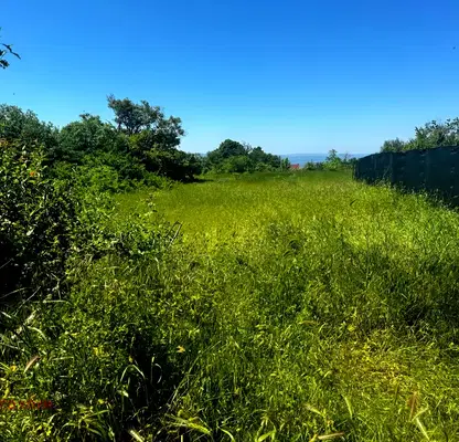 Photo 2 — Plot in Oblast Varna, Avren