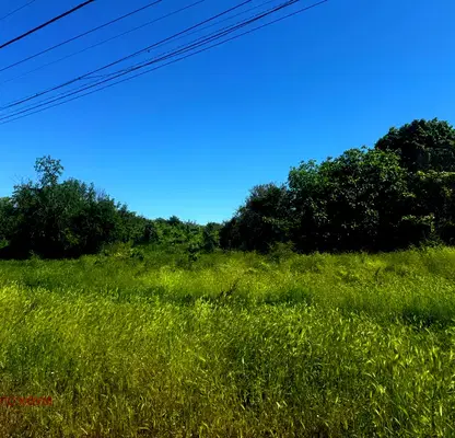 Photo 3 — Plot in Oblast Varna, Avren