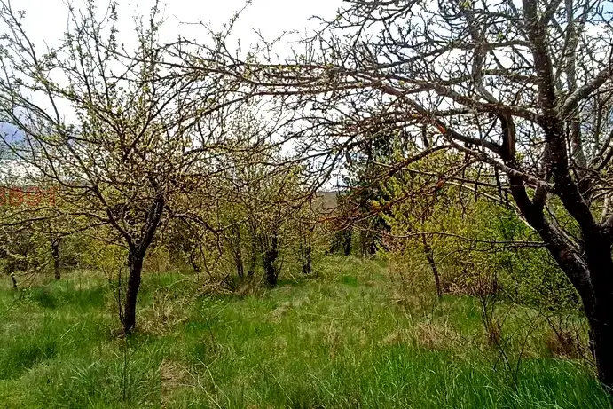 Парцел в Перник, с. Байкалско