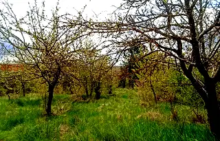 Парцел в Перник, с. Байкалско