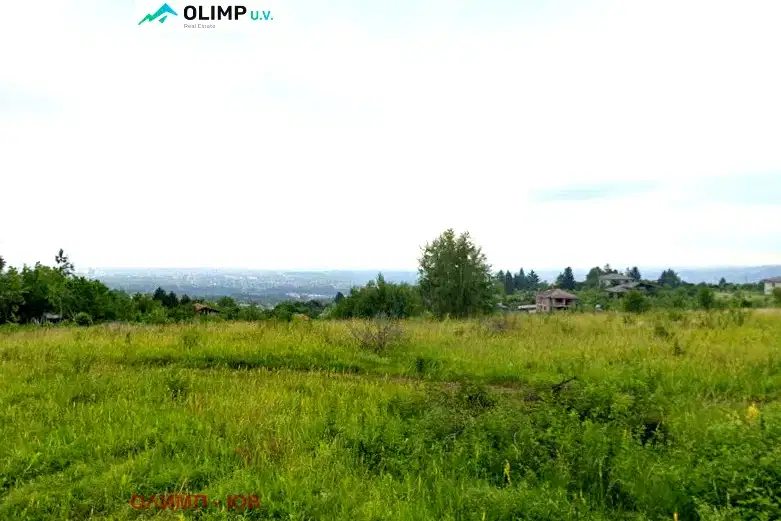 Plot in Bistrica