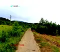 Снимка 5 — Парцел в с. Бистрица