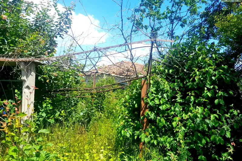 Парцел в Монтана, с. Благово