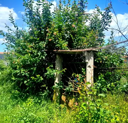Снимка 2 — Парцел в Монтана, с. Благово