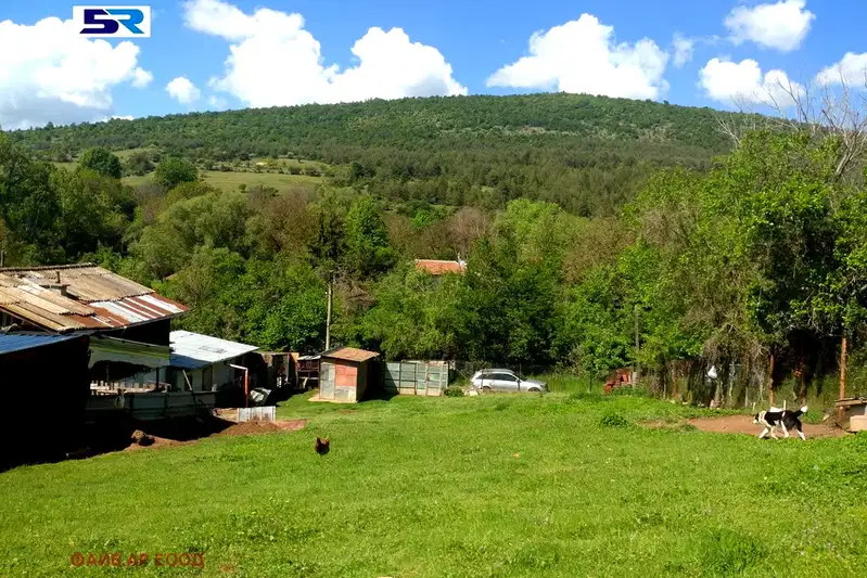 Парцел в Перник, с. Брезнишки извор