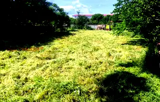 Парцел в Пловдив, с. Цалапица