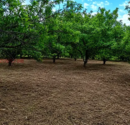 Photo 2 — Plot in Oblast Varna, Carevci