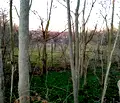 Снимка 4 — Парцел във Варна, с. Червенци