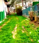 Парцел в Пловдив, с. Дедево