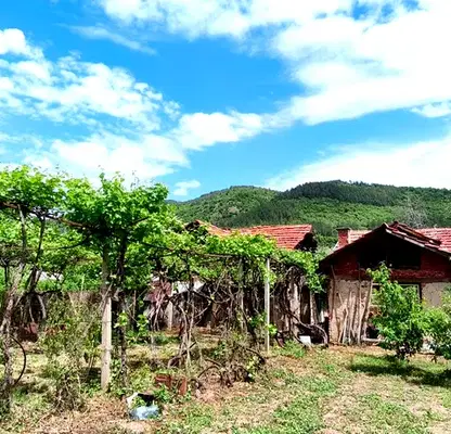 Photo 4 — Plot in Oblast Kyustendil, Dragovishtica