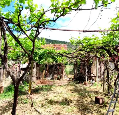 Photo 5 — Plot in Oblast Kyustendil, Dragovishtica