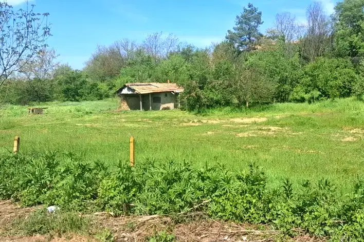 Парцел в Търговище, с. Дългач