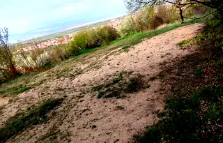 Парцел в Стара Загора, с. Енина
