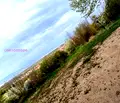 Снимка 3 — Парцел в Стара Загора, с. Енина