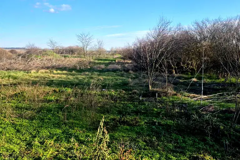 Парцел в Добрич, с. Генерал Колево