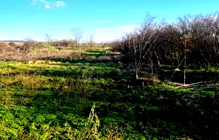 Парцел в Добрич, с. Генерал Колево