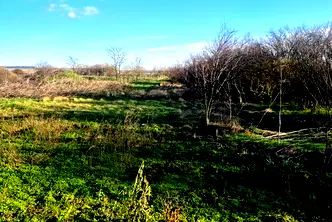 Парцел в Добрич, с. Генерал Колево