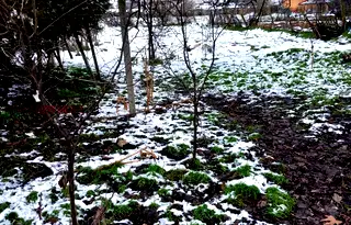 Парцел в Стара Загора, с. Гранит