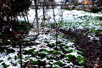 Парцел в Стара Загора, с. Гранит