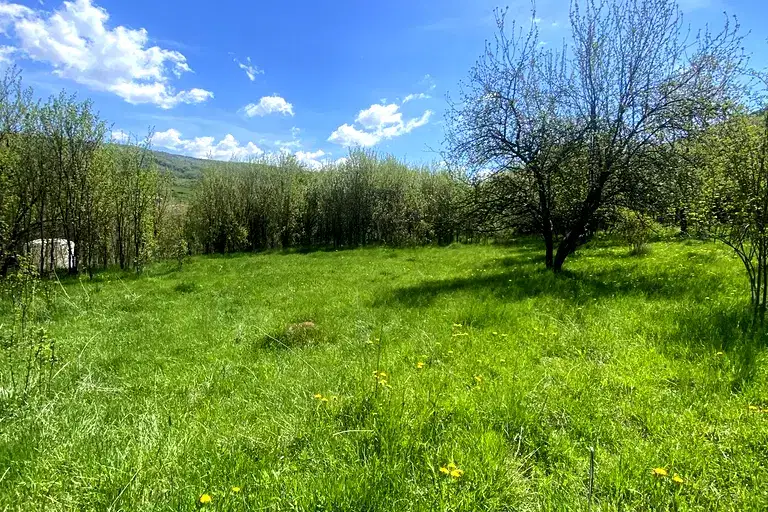 Парцел в София, с. Губеш