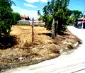Снимка 5 — Парцел в Пазарджик, с. Хаджиево