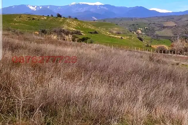 Plot in Oblast Blagoevgrad, с. Хотово