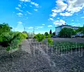 Снимка 4 — Парцел в Стара Загора, с. Хрищени
