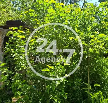 Photo 5 — Plot in Oblast Varna, Iskyr