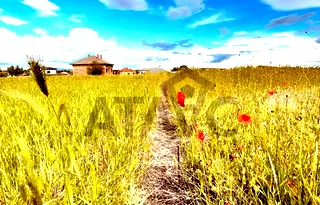 Парцел в Пловдив, с. Житница