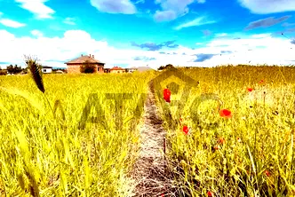 Парцел в Пловдив, с. Житница