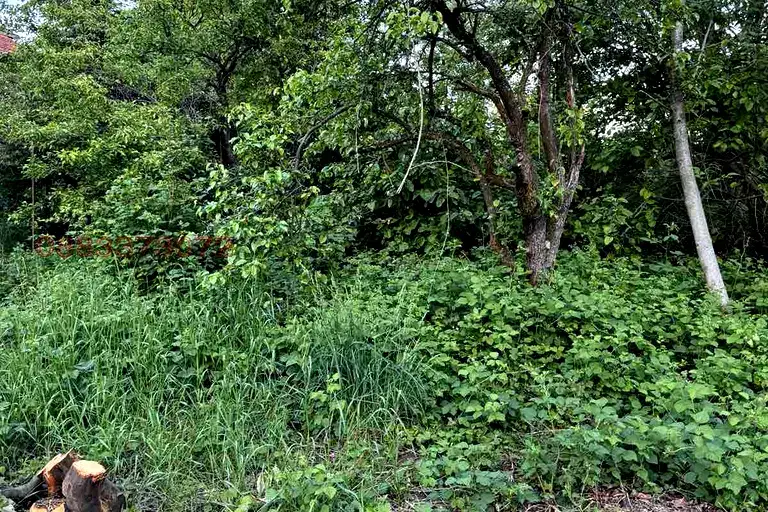 Plot in Malo Buchino