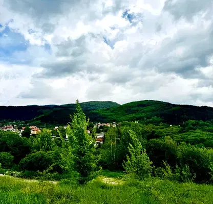 Снимка 2 — Парцел в с. Мърчаево