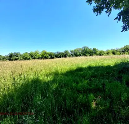 Снимка 5 — Парцел във Велико Търново, с. Ново село
