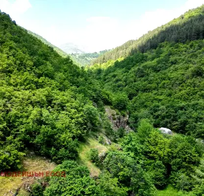 Photo 4 — Plot in Oblast Kyustendil, Pastra
