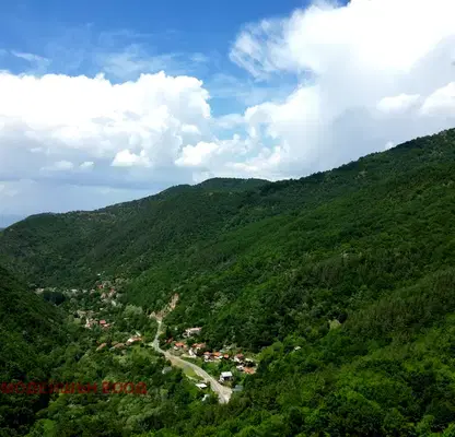 Photo 5 — Plot in Oblast Kyustendil, Pastra