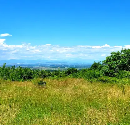 Photo 2 — Plot in Oblast Pazardjik, Patalenica