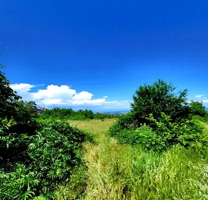 Photo 3 — Plot in Oblast Pazardjik, Patalenica