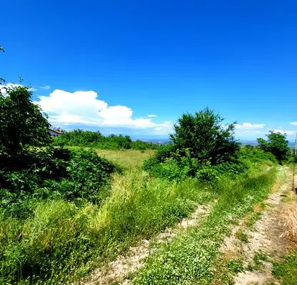 Photo 4 — Plot in Oblast Pazardjik, Patalenica