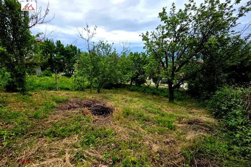 Plot in Oblast Vraca, Pavolche