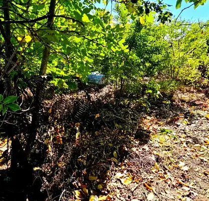 Photo 2 — Plot in Oblast Pleven, Pelishat