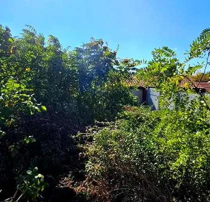 Photo 3 — Plot in Oblast Pleven, Pelishat