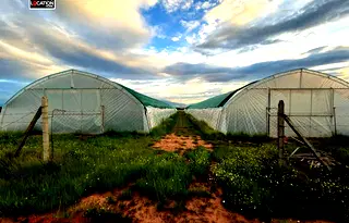 Парцел в с. Подгумер