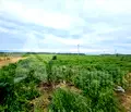 Снимка 2 — Парцел в Стара Загора, с. Преславен