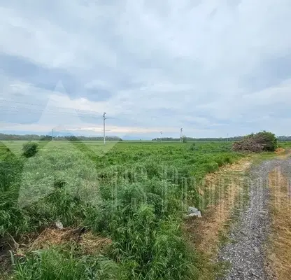 Photo 3 — Plot in Oblast Stara Zagora, Preslaven