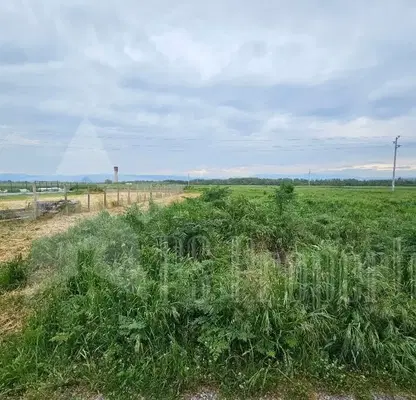 Photo 4 — Plot in Oblast Stara Zagora, Preslaven