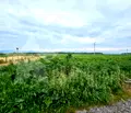 Снимка 5 — Парцел в Стара Загора, с. Преславен