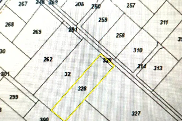 Plot in Sofia, Prolesha
